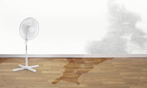 Best Flood restoration services  in Oelwein, IA