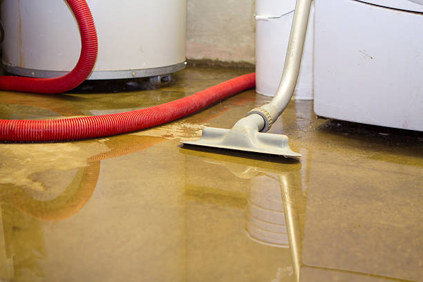 Best Carpet water damage restoration  in Oelwein, IA