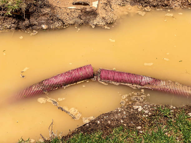 Best 24-hour water damage restoration  in Oelwein, IA