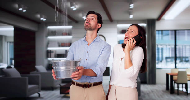 Best Flood damage cleanup  in Oelwein, IA