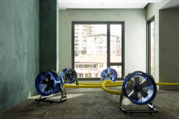 Best Fire Damage Restoration  in Oelwein, IA
