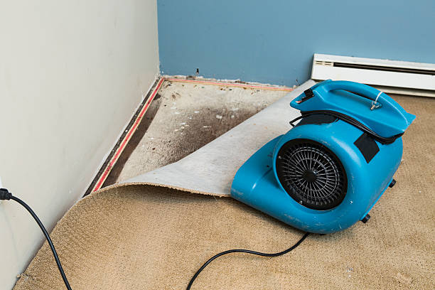 Trusted Oelwein, IA Water damage restoration Experts